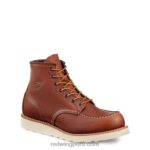 marrón X22T19 Red Wing cinturón de cuero modelo 96548 cinturón de hombre en cuero dakota